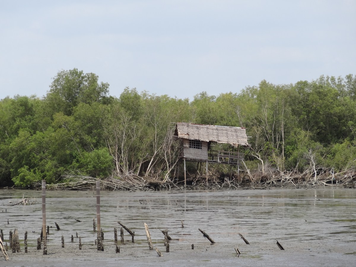人新世について
