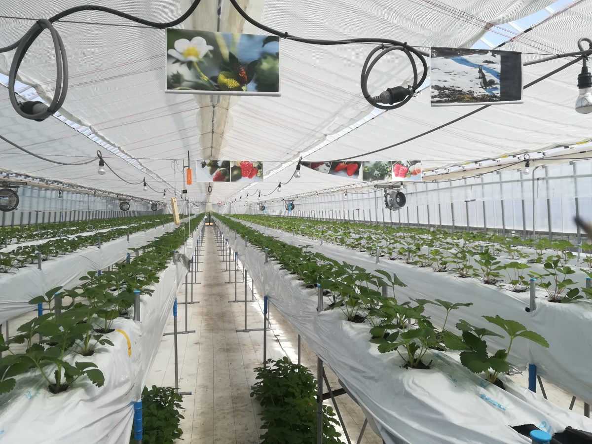 大学院生の研究紹介　その３